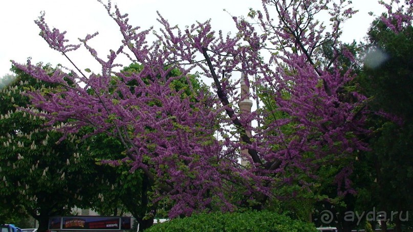 Стамбул: Собор Святой Софии