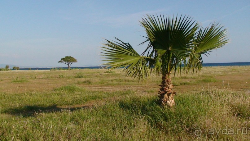 По следам Древних Цивилизаций в Турции: Айвалык и Саримсакли