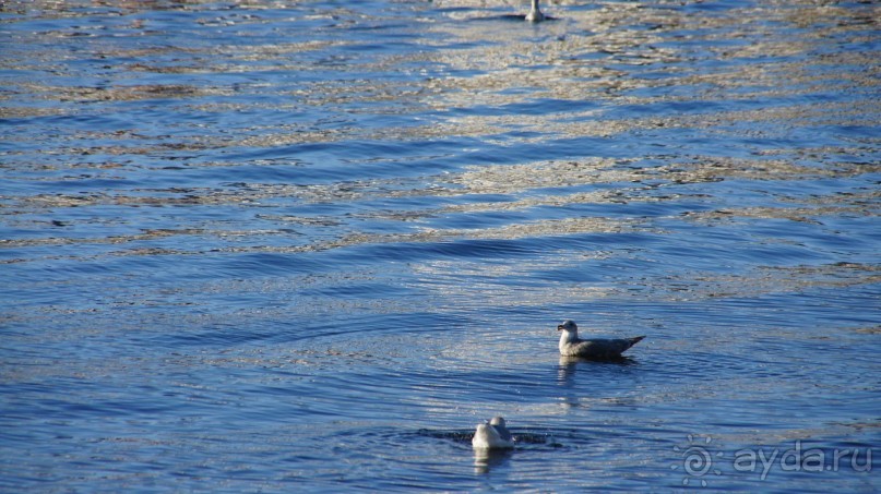 Бухта Сероглазка — в память о сероглазой медсестре