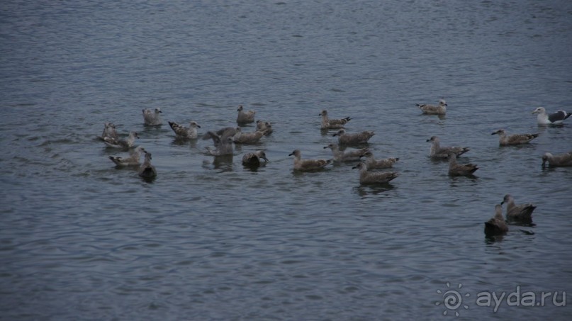Бухта Сероглазка — в память о сероглазой медсестре