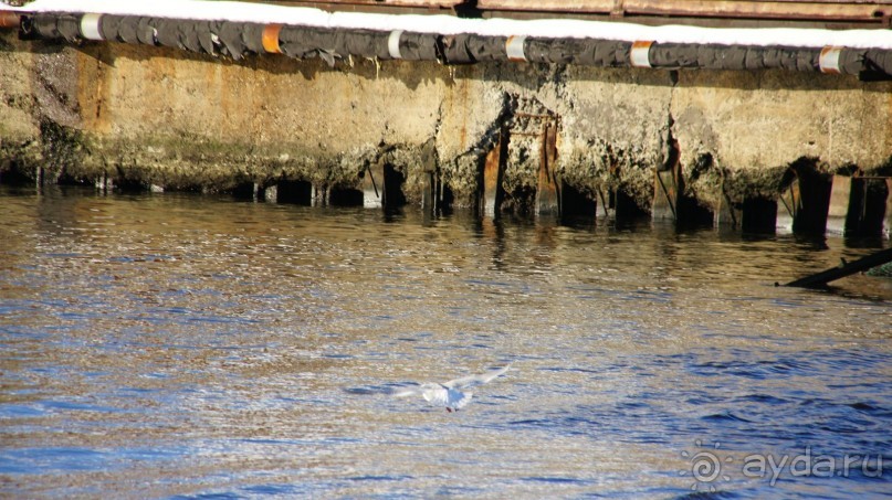 Бухта Сероглазка — в память о сероглазой медсестре