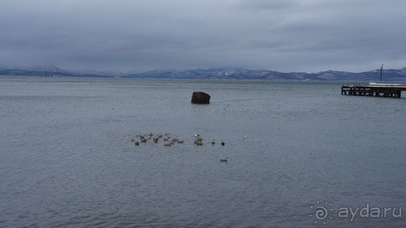 Бухта Сероглазка — в память о сероглазой медсестре