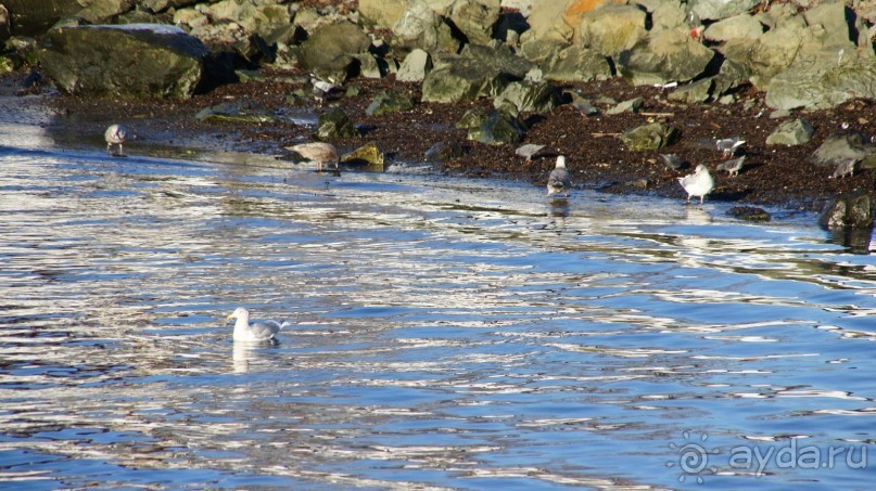 Бухта Сероглазка — в память о сероглазой медсестре