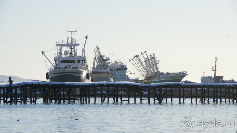 Бухта Сероглазка — в память о сероглазой медсестре