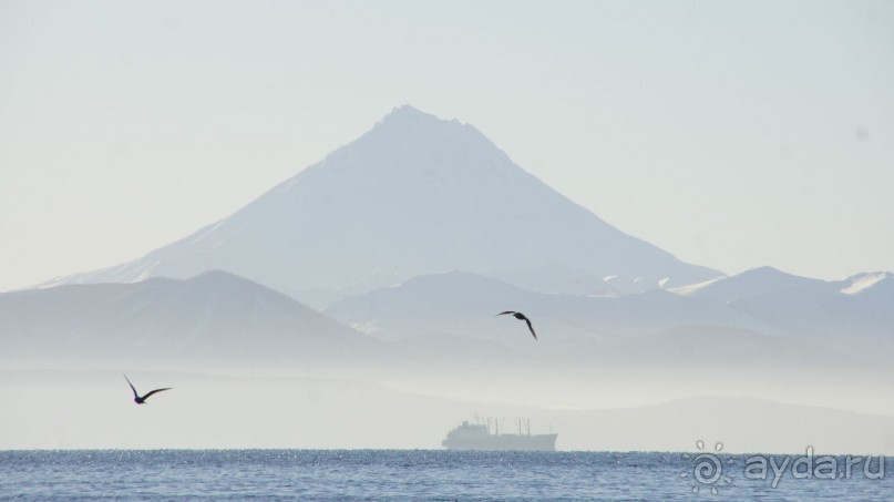 Бухта Сероглазка — в память о сероглазой медсестре