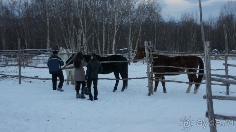 В гостях у коряков