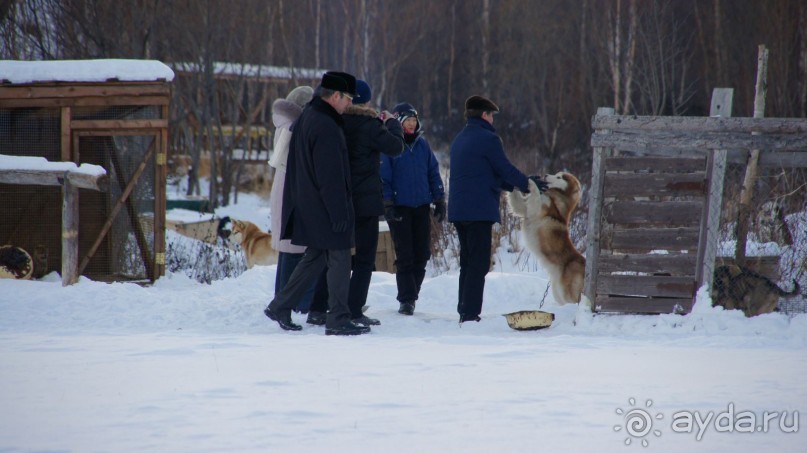 В гостях у коряков