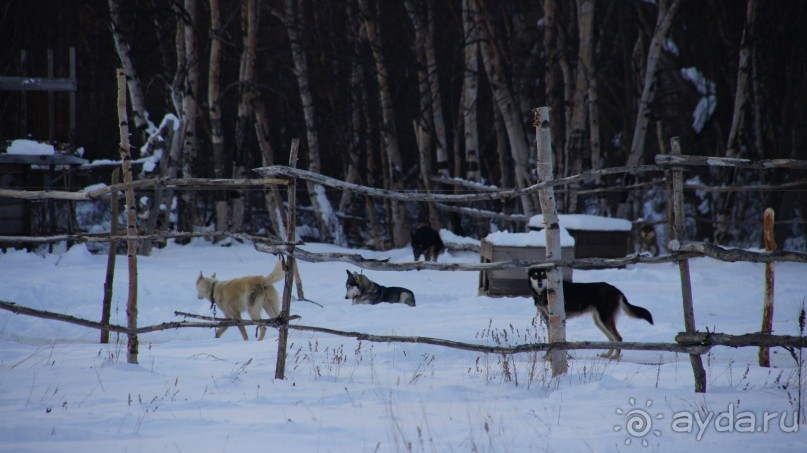 В гостях у коряков