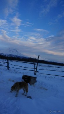 В гостях у коряков