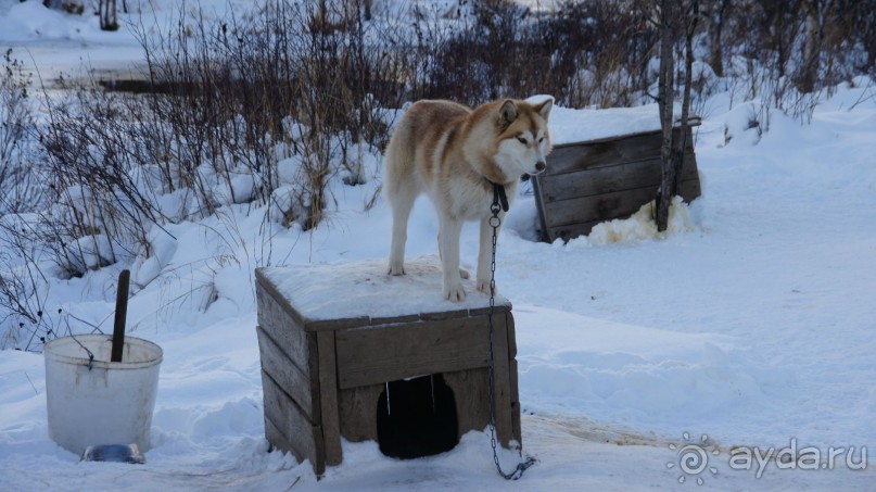 В гостях у коряков
