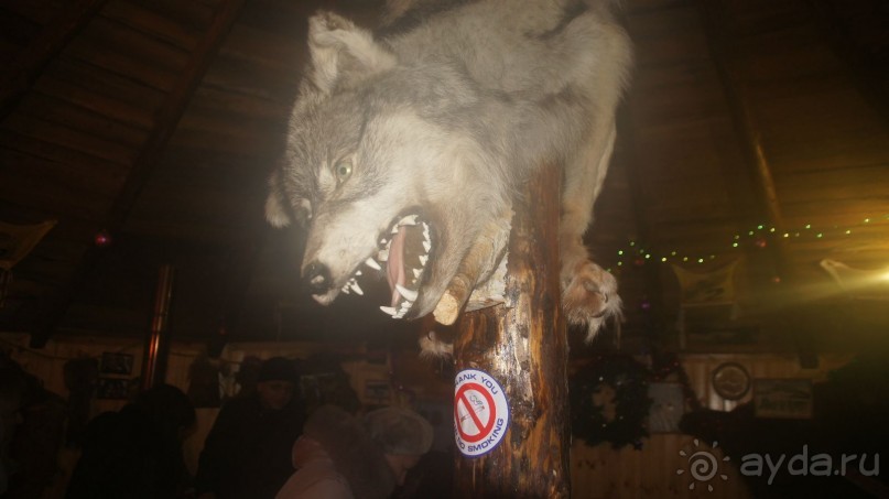 В гостях у коряков