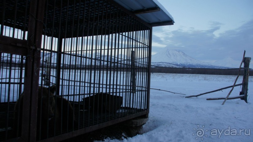 В гостях у коряков