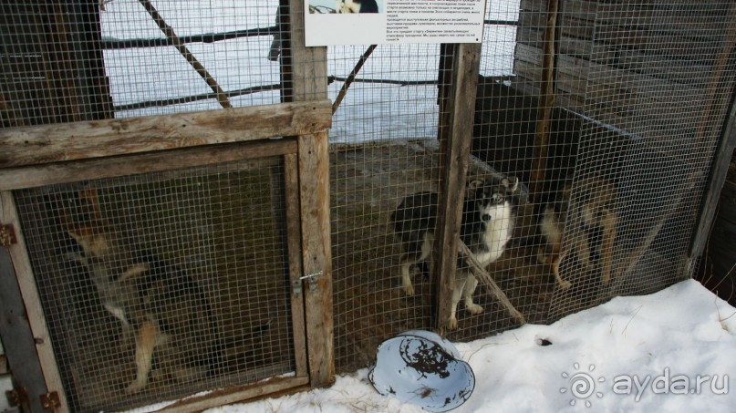 В гостях у коряков