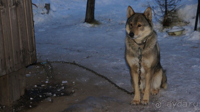 В гостях у коряков
