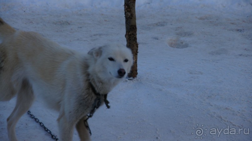 В гостях у коряков