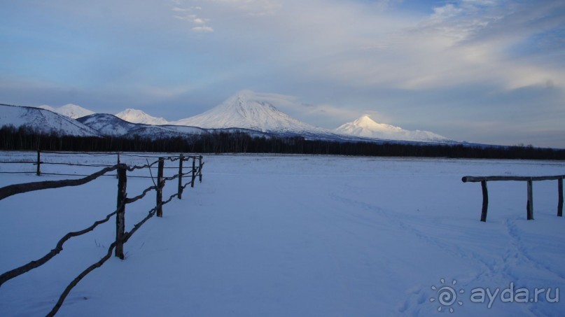 В гостях у коряков