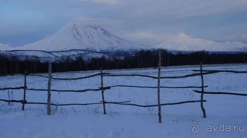 В гостях у коряков