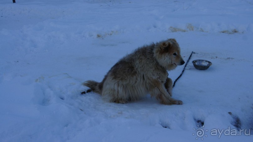 В гостях у коряков