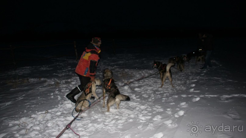 В гостях у коряков