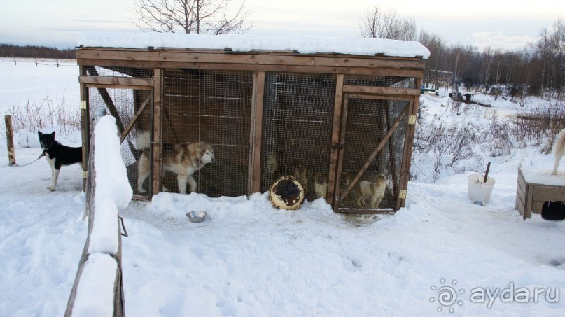 В гостях у коряков