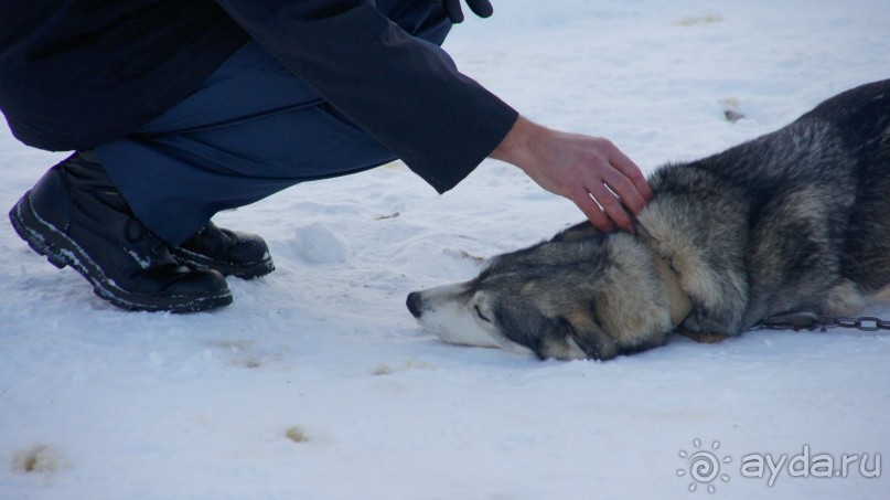 В гостях у коряков