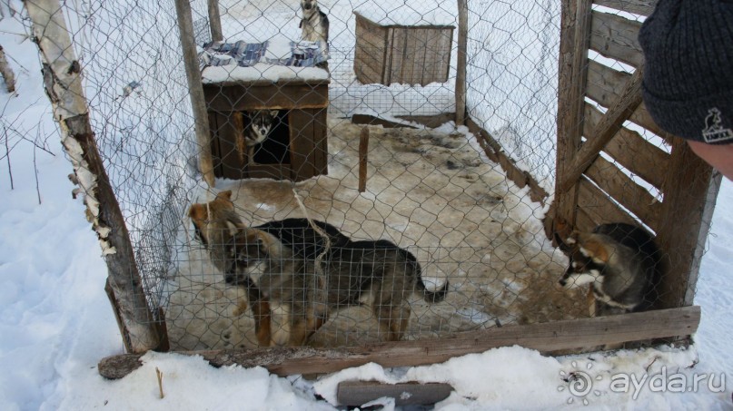 В гостях у коряков