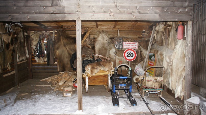 В гостях у коряков