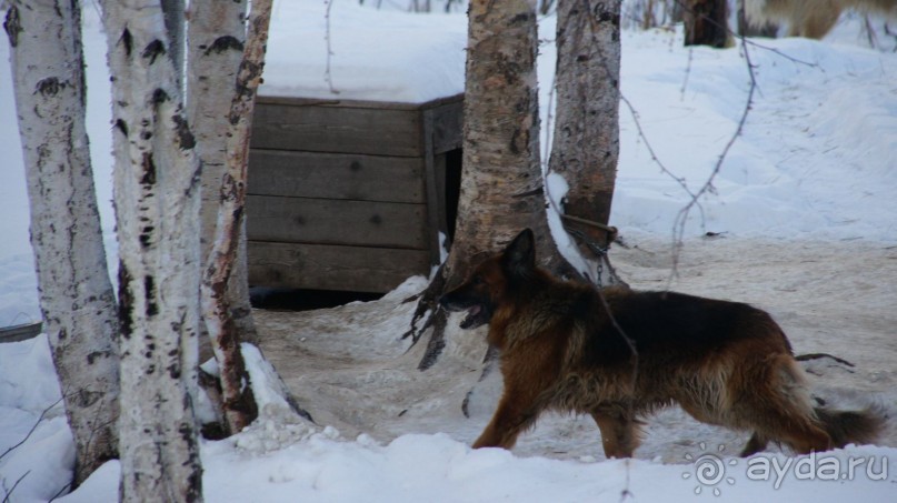 В гостях у коряков