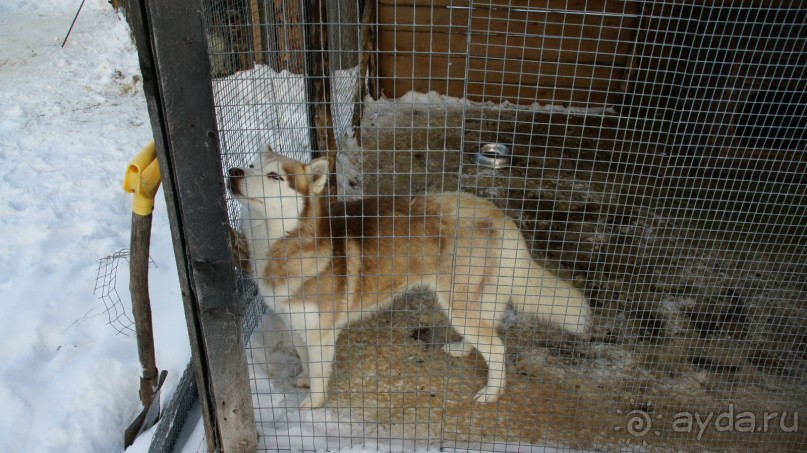 В гостях у коряков