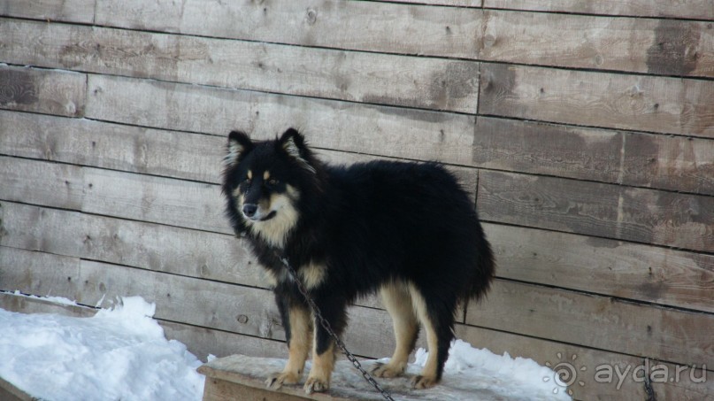 В гостях у коряков