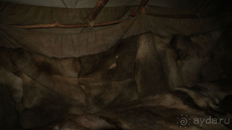 В гостях у коряков