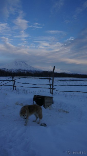 В гостях у коряков