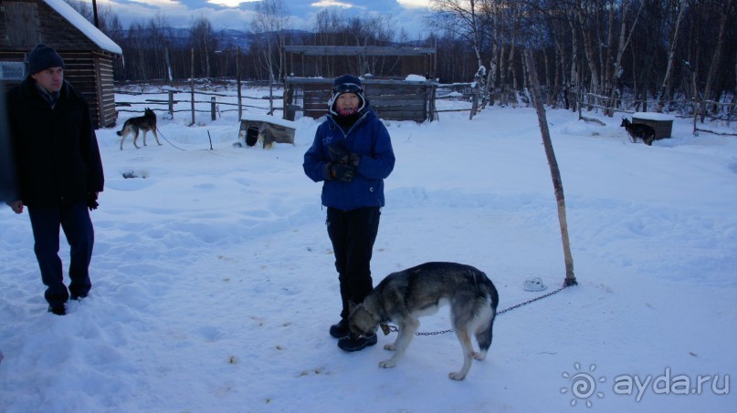 В гостях у коряков
