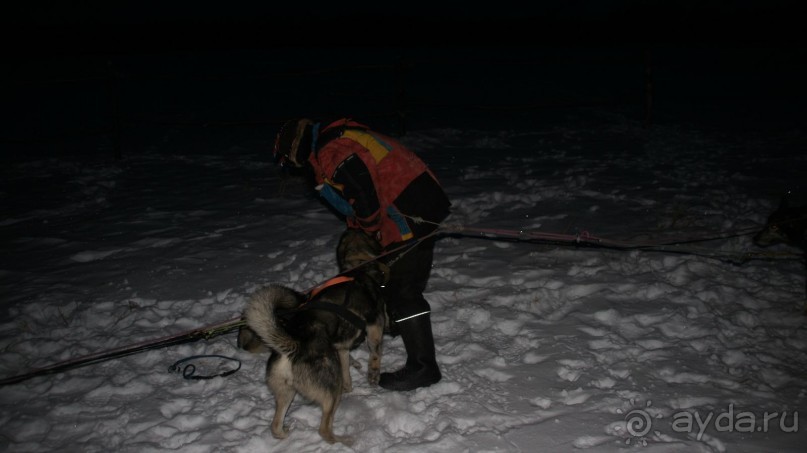 В гостях у коряков