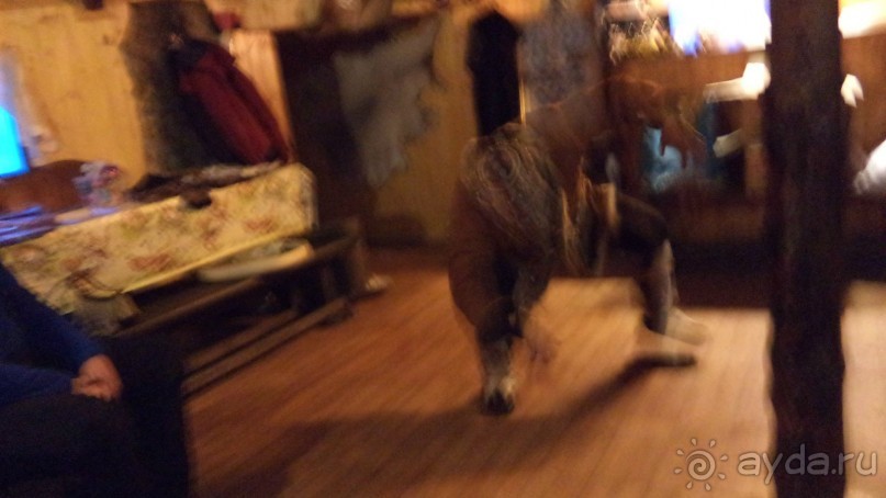 В гостях у коряков