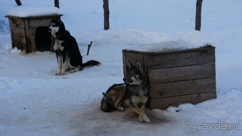 В гостях у коряков