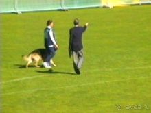 Первый день Зигера в Ульме. Поверка поведения.