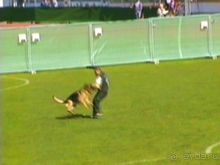 Первый день Зигера в Ульме. Поверка поведения.