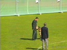 Первый день Зигера в Ульме. Поверка поведения.