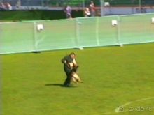 Первый день Зигера в Ульме. Поверка поведения.