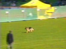 Альбом отзыва "Первый день Зигера в Ульме. Поверка поведения."