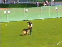 Первый день Зигера в Ульме. Поверка поведения.