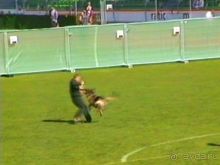 Первый день Зигера в Ульме. Поверка поведения.