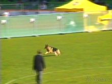 Первый день Зигера в Ульме. Поверка поведения.