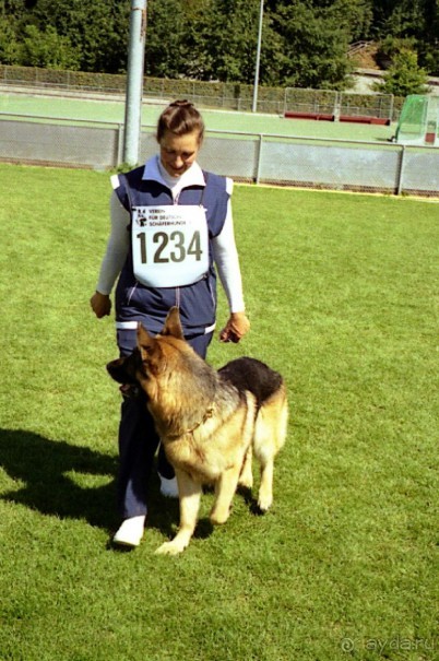 Первый день Зигера в Ульме. Поверка поведения.