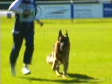 Первый день Зигера в Ульме. Поверка поведения.