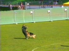 Первый день Зигера в Ульме. Поверка поведения.