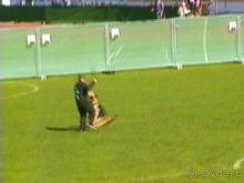 Первый день Зигера в Ульме. Поверка поведения.