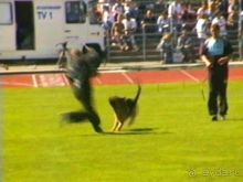 Первый день Зигера в Ульме. Поверка поведения.