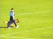 Альбом отзыва "Первый день Зигера в Ульме. Поверка поведения."